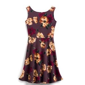 Stitch Fix Kaileigh Feya Knit Dress Size Small NWT